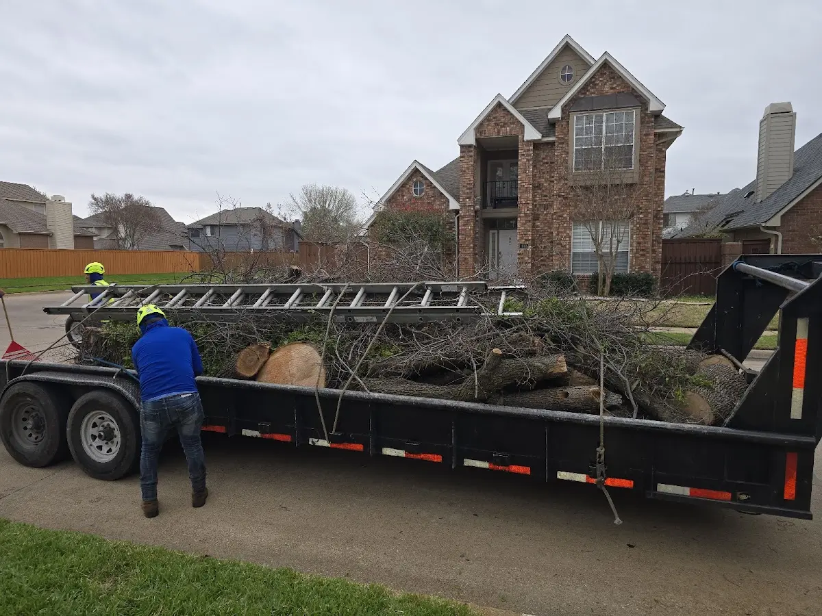 Expert Lot Clearing with proper safety equipment in Lagrange